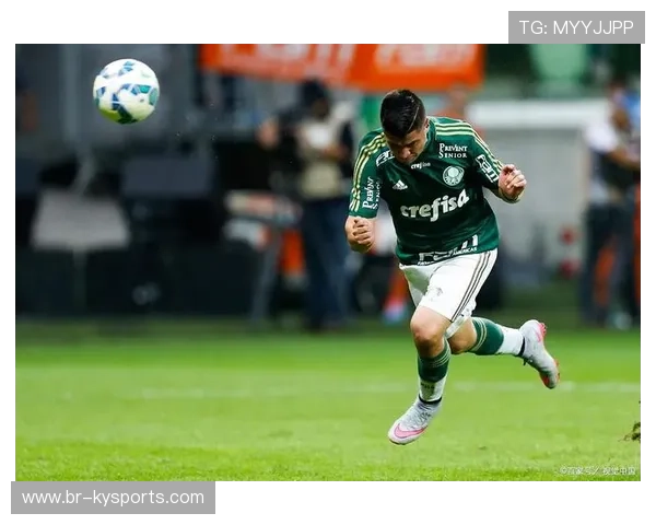 帕尔梅拉斯防守端表现提升，帕尔梅拉斯ds